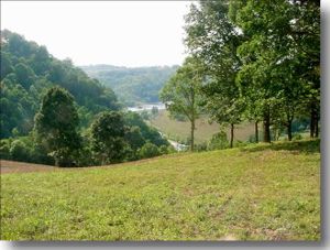Alleghany County