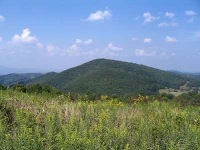 Fender Mountain